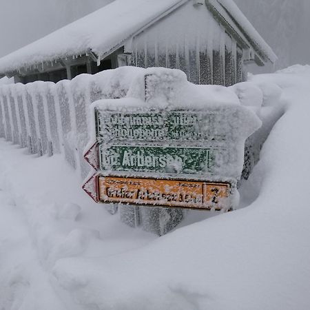 Apartman Arberblick 20 Bayerisch Eisenstein Luaran gambar